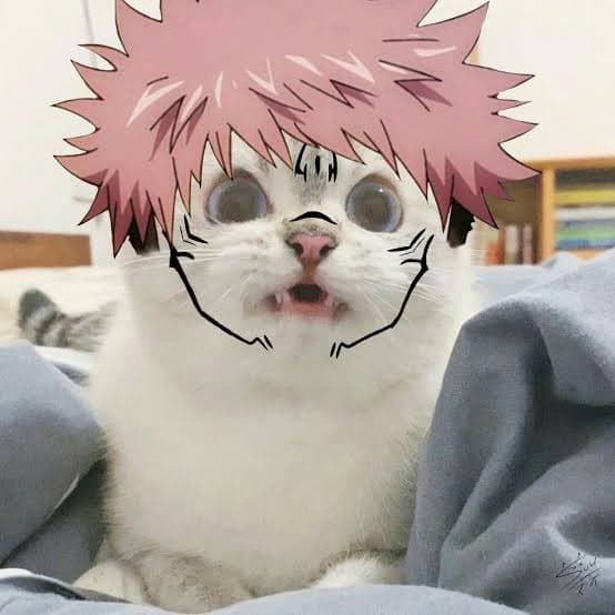 SukunaMiaw