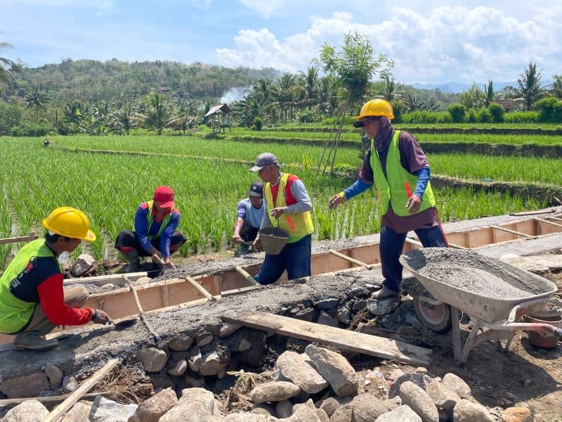 Program P3-TGAI di Desa Tanjungsari Tingkatkan Kesejahteraan Petani