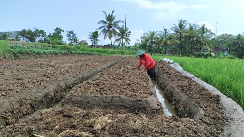Pemdes Tanjungsari Dorong Sektor Pertanian dan Ekonomi Warga