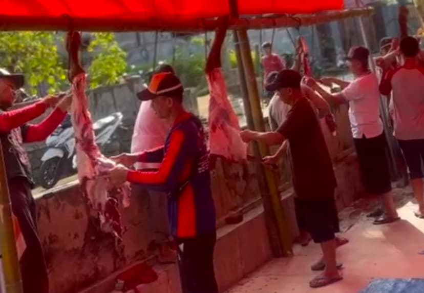 Idul Adha 1447 H, Desa Tanjungsari Sembelih 30 Sapi & 50 Kambing